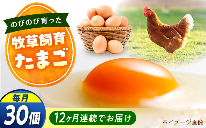 【全12回定期便】天心山 たまご 30個（10個入り×3パック） 卵 たまご 高級 食品 たまごかけご飯 卵かけご飯 卵焼き 生卵 濃厚 ケーキ お菓子 づくり ランキング 上位 人気 おすすめ 定期便　広島県福山市/天心山ファーム [BABW028]