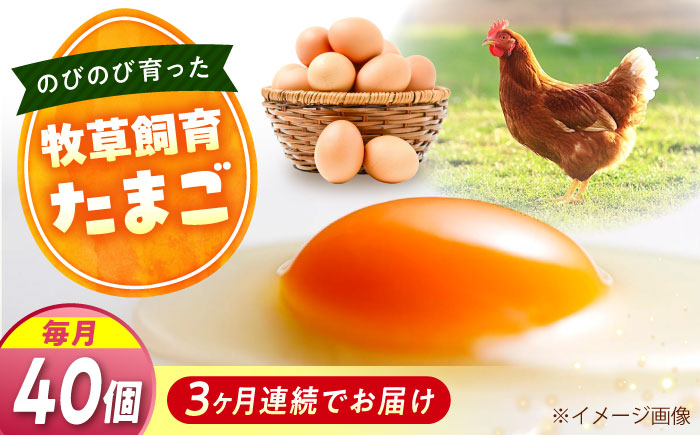 【全3回定期便】天心山 たまご 40個（10個入り×4パック） 卵 たまご 高級 食品 たまごかけご飯 卵かけご飯 卵焼き 生卵 濃厚 ケーキ お菓子 づくり ランキング 上位 人気 おすすめ 定期便　広島県福山市/天心山ファーム [BABW030]