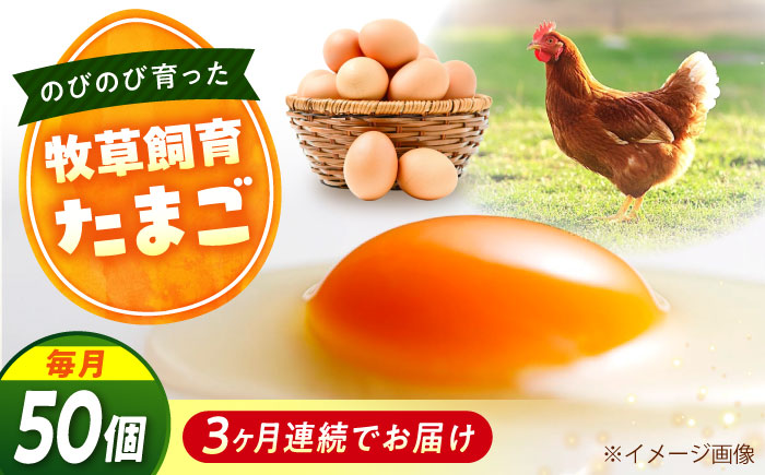 【全3回定期便】天心山 たまご 50個（10個入り×5パック） 卵 たまご 高級 食品 たまごかけご飯 卵かけご飯 卵焼き 生卵 濃厚 ケーキ お菓子 づくり ランキング 上位 人気 おすすめ 定期便　広島県福山市/天心山ファーム [BABW034]