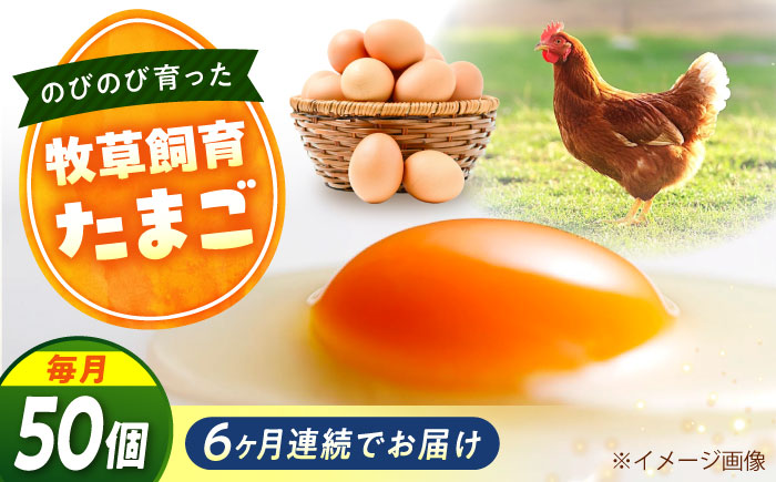 【全6回定期便】天心山 たまご 50個（10個入り×5パック） 卵 たまご 高級 食品 たまごかけご飯 卵かけご飯 卵焼き 生卵 濃厚 ケーキ お菓子 づくり ランキング 上位 人気 おすすめ 定期便　広島県福山市/天心山ファーム [BABW035]