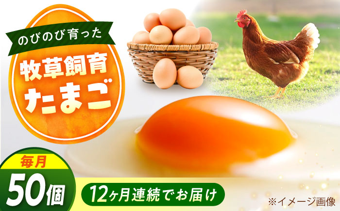 【全12回定期便】天心山 たまご 50個（10個入り×5パック） 卵 たまご 高級 食品 たまごかけご飯 卵かけご飯 卵焼き 生卵 濃厚 ケーキ お菓子 づくり ランキング 上位 人気 おすすめ 定期便　広島県福山市/天心山ファーム [BABW036]