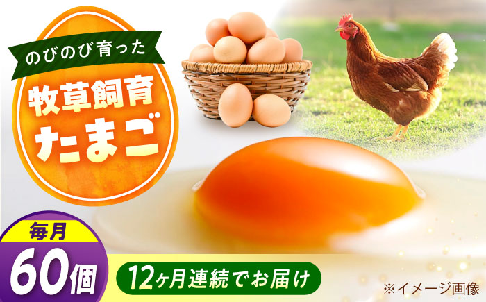 【全12回定期便】天心山 たまご 60個（10個入り×6パック） 卵 たまご 高級 食品 たまごかけご飯 卵かけご飯 卵焼き 生卵 濃厚 ケーキ お菓子 づくり ランキング 上位 人気 おすすめ 定期便　広島県福山市/天心山ファーム [BABW040]
