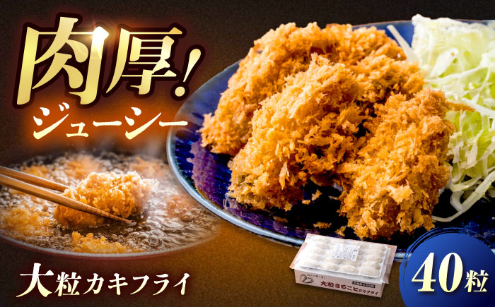 【スピード発送】冷凍 大粒 カキフライ 40粒 広島県産 冷凍カキフライ 広島牡蠣 牡蠣 かき カキ  料理 簡単 魚介類 海鮮 ギフト 広島県福山市/クニヒロ株式会社 [BACG006]