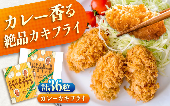 【スピード発送】冷凍 カキフライ  (カレー 計36粒)  広島県産 冷凍カキフライ 広島牡蠣 牡蠣 かき カキ  料理 簡単 魚介類 海鮮 ギフト 広島県福山市/クニヒロ株式会社 [BACG010]