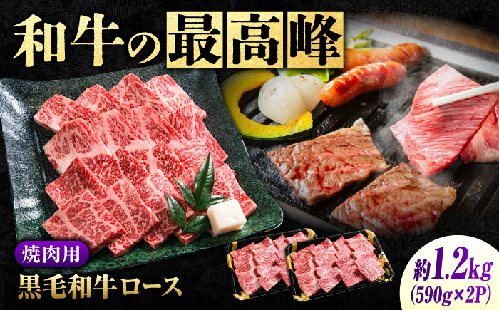 なかやま牧場 黒毛和牛 ギフト 神石牛 (ロース焼肉用 590g×2) 広島県福山市/株式会社なかやま牧場 牛肉 なかやま牛 国産 お肉 ギフト 贈答 [BACT008]