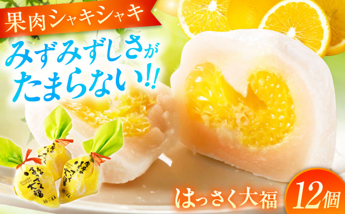 【年内発送】お菓子 はっさく大福12個入 お菓子 大福 八朔 柑橘 みかん オレンジ 餅 ギフト お取り寄せ スイーツ フルーツ大福 ご当地 菓子 おかし デザート 食品 人気 おすすめ 広島県福山市/株式会社虎屋本舗 [BADH012]