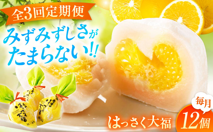 【全3回定期便】お菓子 はっさく大福12個入 お菓子 大福 八朔 柑橘 みかん オレンジ 餅 ギフト お取り寄せ スイーツ フルーツ大福 ご当地 菓子 おかし デザート 食品 人気 おすすめ 広島県福山市/株式会社虎屋本舗 [BADH014]