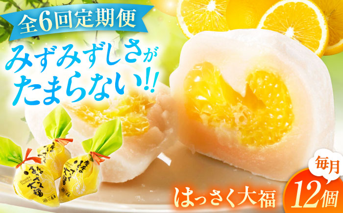 【全6回定期便】お菓子 はっさく大福12個入 お菓子 大福 八朔 柑橘 みかん オレンジ 餅 ギフト お取り寄せ スイーツ フルーツ大福 ご当地 菓子 おかし デザート 食品 人気 おすすめ 広島県福山市/株式会社虎屋本舗 [BADH015]