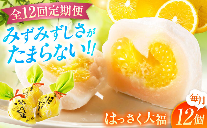 【全12回定期便】お菓子 はっさく大福12個入 お菓子 大福 八朔 柑橘 みかん オレンジ 餅 ギフト お取り寄せ スイーツ フルーツ大福 ご当地 菓子 おかし デザート 食品 人気 おすすめ 広島県福山市/株式会社虎屋本舗 [BADH016]