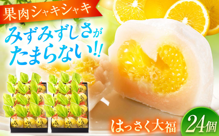 【年内発送】お菓子 はっさく大福12個入×2　 お菓子 大福 八朔 柑橘 みかん オレンジ 餅 ギフト お取り寄せ スイーツ フルーツ大福 ご当地 菓子 おかし デザート 食品 人気 おすすめ 広島県福山市/株式会社虎屋本舗 [BADH017]