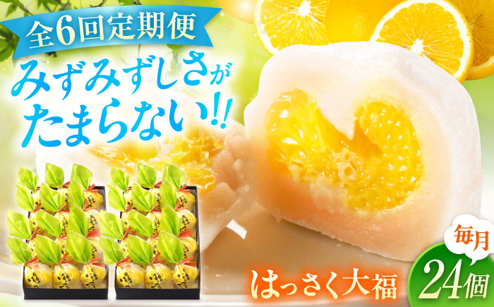 【全6回定期便】お菓子 はっさく大福12個入×2　 お菓子 大福 八朔 柑橘 みかん オレンジ 餅 ギフト お取り寄せ スイーツ フルーツ大福 ご当地 菓子 おかし デザート 食品 人気 おすすめ 広島県福山市/株式会社虎屋本舗 [BADH019]