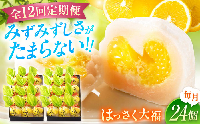 【全12回定期便】お菓子 はっさく大福12個入×2　 お菓子 大福 八朔 柑橘 みかん オレンジ 餅 ギフト お取り寄せ スイーツ フルーツ大福 ご当地 菓子 おかし デザート 食品 人気 おすすめ 広島県福山市/株式会社虎屋本舗 [BADH020]