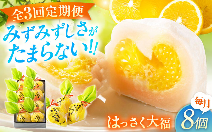 【全3回定期便】お菓子 はっさく大福8個入　 お菓子 大福 八朔 柑橘 みかん オレンジ 餅 ギフト お取り寄せ スイーツ フルーツ大福 ご当地 菓子 おかし デザート 食品 人気 おすすめ 広島県福山市/株式会社虎屋本舗 [BADH022]