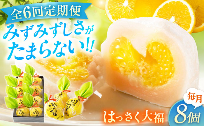【全6回定期便】お菓子 はっさく大福8個入　 お菓子 大福 八朔 柑橘 みかん オレンジ 餅 ギフト お取り寄せ スイーツ フルーツ大福 ご当地 菓子 おかし デザート 食品 人気 おすすめ 広島県福山市/株式会社虎屋本舗 [BADH023]