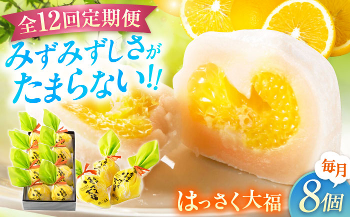 【全12回定期便】お菓子 はっさく大福8個入　 お菓子 大福 八朔 柑橘 みかん オレンジ 餅 ギフト お取り寄せ スイーツ フルーツ大福 ご当地 菓子 おかし デザート 食品 人気 おすすめ 広島県福山市/株式会社虎屋本舗 [BADH024]