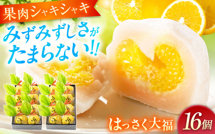 【年内発送】お菓子 はっさく大福8個入×2　 お菓子 大福 八朔 柑橘 みかん オレンジ 餅 ギフト お取り寄せ スイーツ フルーツ大福 ご当地 菓子 おかし デザート 食品 人気 おすすめ 広島県福山市/株式会社虎屋本舗 [BADH025]