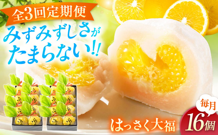 【全3回定期便】お菓子 はっさく大福8個入×2　 お菓子 大福 八朔 柑橘 みかん オレンジ 餅 ギフト お取り寄せ スイーツ フルーツ大福 ご当地 菓子 おかし デザート 食品 人気 おすすめ 広島県福山市/株式会社虎屋本舗 [BADH026]