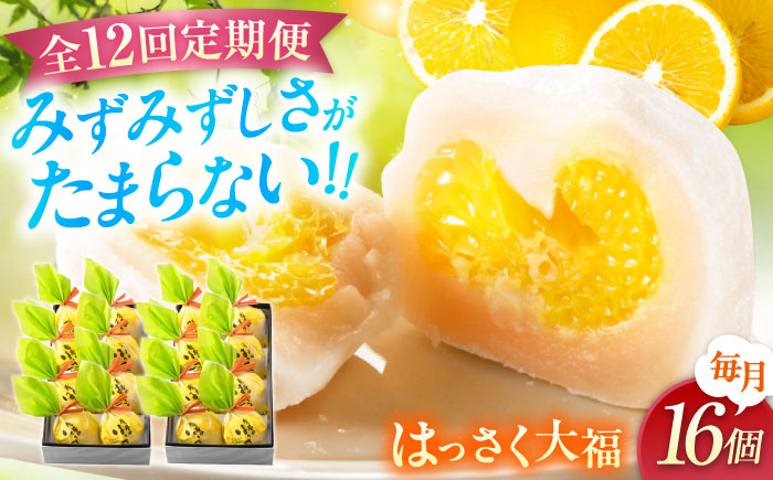 【全12回定期便】お菓子 はっさく大福8個入×2　 お菓子 大福 八朔 柑橘 みかん オレンジ 餅 ギフト お取り寄せ スイーツ フルーツ大福 ご当地 菓子 おかし デザート 食品 人気 おすすめ 広島県福山市/株式会社虎屋本舗 [BADH028]