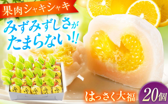 【年内発送】お菓子 はっさく大福20個入　 お菓子 大福 八朔 柑橘 みかん オレンジ 餅 ギフト お取り寄せ スイーツ フルーツ大福 ご当地 菓子 おかし デザート 食品 人気 おすすめ 広島県福山市/株式会社虎屋本舗 [BADH029]