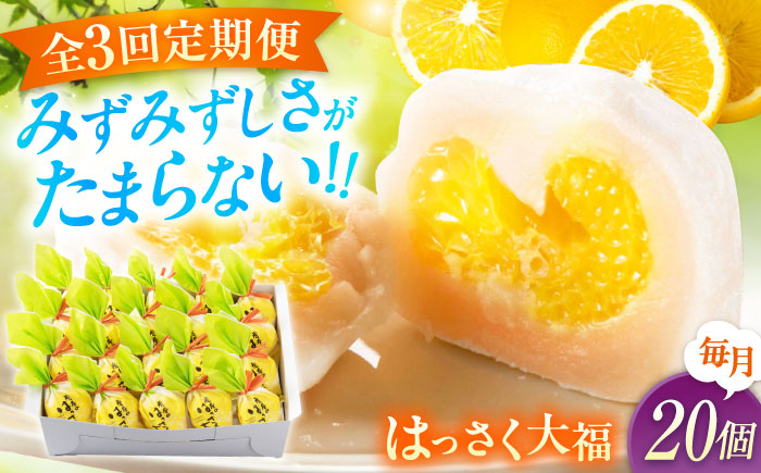 【全3回定期便】お菓子 はっさく大福20個入　 お菓子 大福 八朔 柑橘 みかん オレンジ 餅 ギフト お取り寄せ スイーツ フルーツ大福 ご当地 菓子 おかし デザート 食品 人気 おすすめ 広島県福山市/株式会社虎屋本舗 [BADH030]