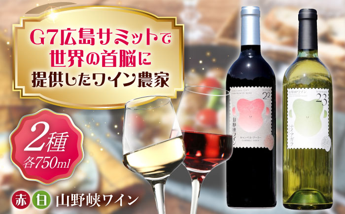 山野峡ワイン　赤白セット　キャンベル・ナイアガラ 広島県福山市/株式会社福山健康舎(山野峡大田ワイナリー) 山野峡ワイン 福山 広島 ワイン 福山市 ぶどう ワイナリー [BADO008]