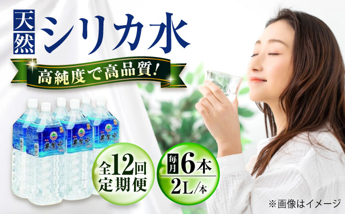 【全12回定期便】飲料 水 ミネラルウォーター 巌聖水6500 2L×6本入り 広島県福山市/小林商事 ミネラルウォーター ペットボトル 2l 2リットル 保存用 備蓄 防災 [BAEA021]
