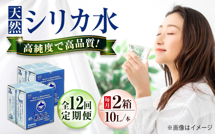 【全12回定期便】飲料 水 ミネラルウォーター 巌聖水6500 10L×2箱入り 広島県福山市/小林商事 ミネラルウォーター ペットボトル 10l 10リットル 保存用 備蓄 防災 [BAEA023]
