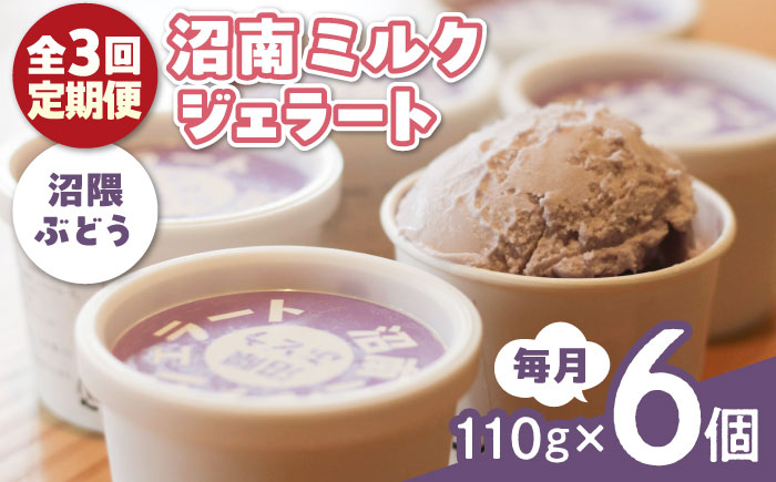 【全3回定期便】沼南ミルクジェラート 沼隈ぶどう ６個　アイス  ぶどう  アイス アイスクリーム デザート スイーツ ご当地 広島県福山市/甚ごろう [BAEC042]