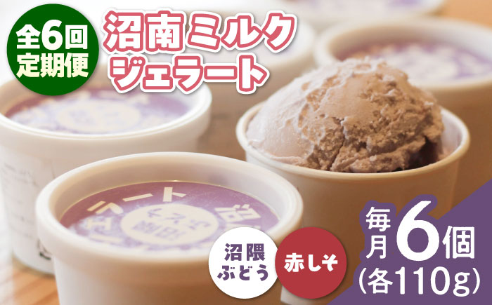 【全6回定期便】沼南ミルクジェラート 沼隈ぶどう＆赤しそ　各3個　食べ比べセット　アイス  ぶどう 赤しそ アイス アイスクリーム デザート スイーツ ご当地 広島県福山市/甚ごろう [BAEC047]