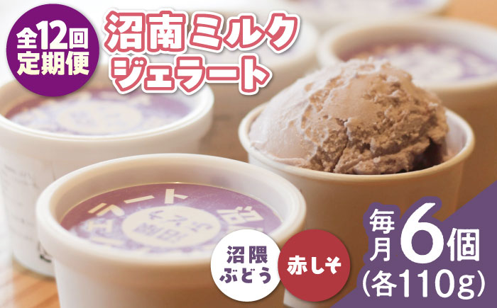 【全12回定期便】沼南ミルクジェラート 沼隈ぶどう＆赤しそ　各3個　食べ比べセット　アイス  ぶどう 赤しそ アイス アイスクリーム デザート スイーツ ご当地 広島県福山市/甚ごろう [BAEC048]