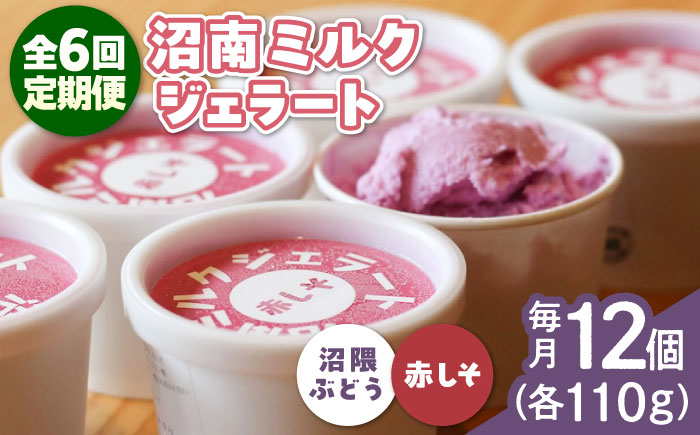 【全6回定期便】沼南ミルクジェラート 沼隈ぶどう＆赤しそ　各6個　食べ比べセット　アイス  ぶどう 赤しそ アイス アイスクリーム デザート スイーツ ご当地 広島県福山市/甚ごろう [BAEC051]