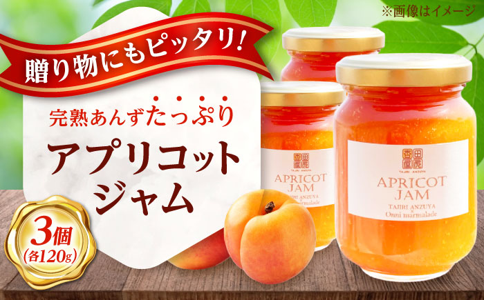 ジャム 田尻あんずのアプリコットジャム 120g 3個入り 広島県福山市/田尻杏屋 あんず アプリコット 杏 フルーツ 果物 [BAEK001]