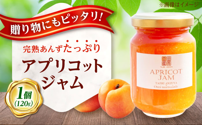 ジャム 田尻あんずのアプリコットジャム 120g 1個入り 広島県福山市/田尻杏屋 あんず アプリコット 杏 フルーツ 果物 [BAEK002]