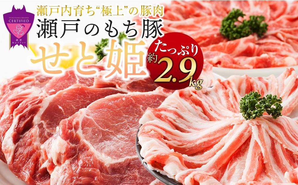 冷凍 肉「瀬戸のもち豚せと姫」たっぷりセット約2,900g (ロースステーキ・肩ロース・バラ) 広島県福山市/日本畜産株式会社 豚肉 ぶたにく しゃぶしゃぶ ステーキ 小分け [BAER024]