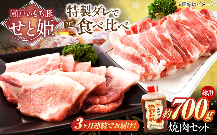 【全3回定期便】冷凍 肉「瀬戸のもち豚せと姫」焼肉セット計約700g  (バラ400g・ロース300g・自家製焼肉のタレ) 広島県福山市/日本畜産株式会社 肉 豚肉 焼肉 セット 豚バラ ロース タレ付き スライス 国産 お肉 [BAER050]