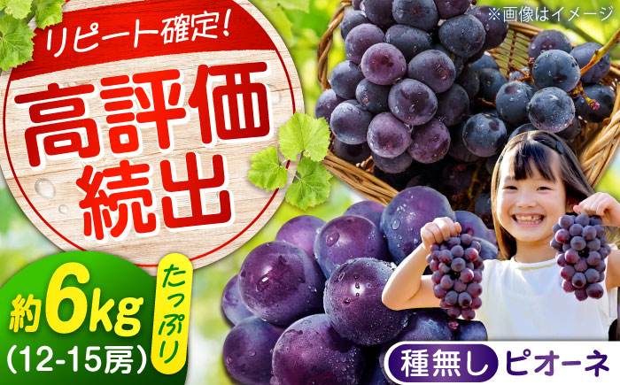 期間限定/8月下旬～9月上旬頃発送 沼隈ぶどう「ピオーネ」 約2kg×3 (12～15房)種なし 広島県福山市/福山市農業協同組合　沼隈グリーンセンター ぶどう ブドウ 葡萄 種なし 大粒 [BAEV007]