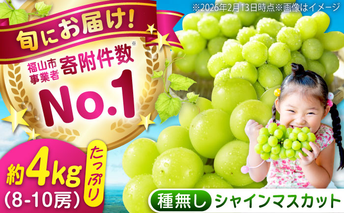 数量限定/9月上旬～9月下旬頃発送 沼隈ぶどう「シャインマスカット」 約2kg×2(8～10房) 広島県福山市/福山市農業協同組合　沼隈グリーンセンター ぶどう ブドウ 葡萄 種なし 大粒 マスカット [BAEV011]