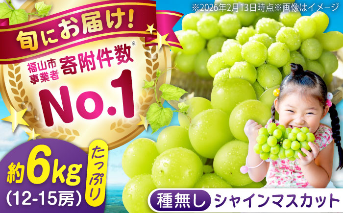 数量限定/9月上旬～9月下旬頃発送 沼隈ぶどう「シャインマスカット」 約2kg×3(12～15房) 広島県福山市/福山市農業協同組合　沼隈グリーンセンター ぶどう ブドウ 葡萄 種なし 大粒 マスカット [BAEV012]