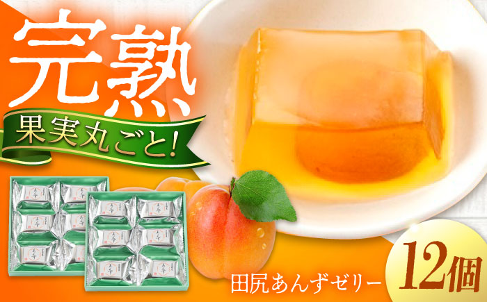 ゼリー 瀬戸内果実ぜりぃ 田尻あんずゼリー 12個入り ゼリー フルーツ デザート おやつ お菓子 スイーツ 甘い 広島県福山市/有限会社勉強堂 [BAFL004]