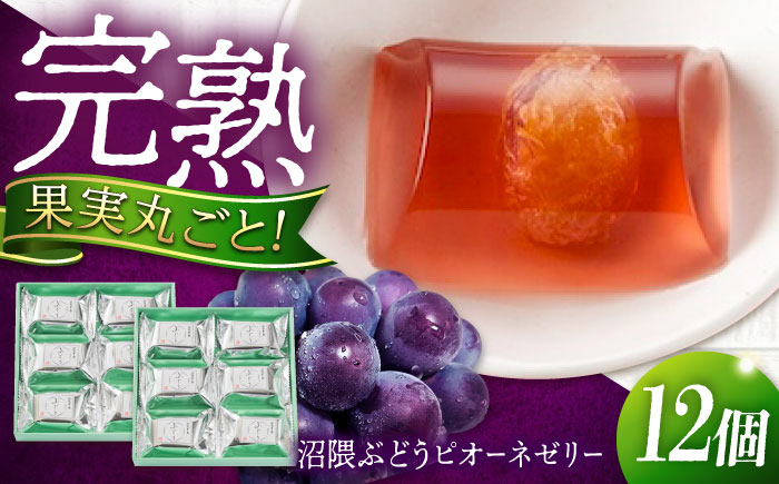 ゼリー 瀬戸内産 沼隈ぶどうピオーネゼリー 12個入り ゼリー スイーツ デザート おやつ 果物 お菓子 スイーツ 甘い 広島県福山市/有限会社勉強堂 [BAFL005]