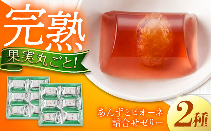 ゼリー 瀬戸内果実ぜりぃ あんず ピオーネ詰合せ 12個入り ゼリー スイーツ おやつ デザート お菓子 スイーツ 甘い 広島県福山市/有限会社勉強堂 [BAFL006]