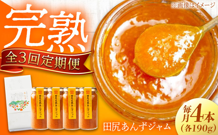 【全3回定期便】 ジャム 田尻完熟あんずジャム (4本) ジャム 果物 あんず パン 甘い 菓子 朝ごはん 広島県福山市/有限会社勉強堂 [BAFL008]
