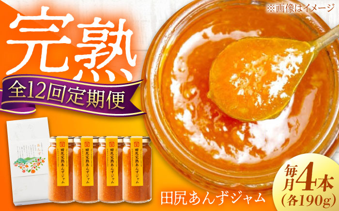【全12回定期便】 ジャム 田尻完熟あんずジャム (4本)　ジャム 果物 あんず パン 甘い 菓子 朝ごはん 広島県福山市/有限会社勉強堂 [BAFL010]