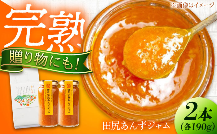 ジャム 田尻完熟あんずジャム (2本) ジャム 果物 あんず パン 甘い 菓子 朝ごはん 広島県福山市/有限会社勉強堂 [BAFL011]