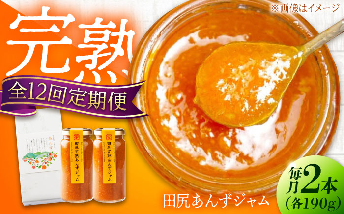【全12回定期便】 ジャム 田尻完熟あんずジャム (2本)　ジャム 果物 あんず パン 甘い 菓子 朝ごはん 広島県福山市/有限会社勉強堂 [BAFL014]