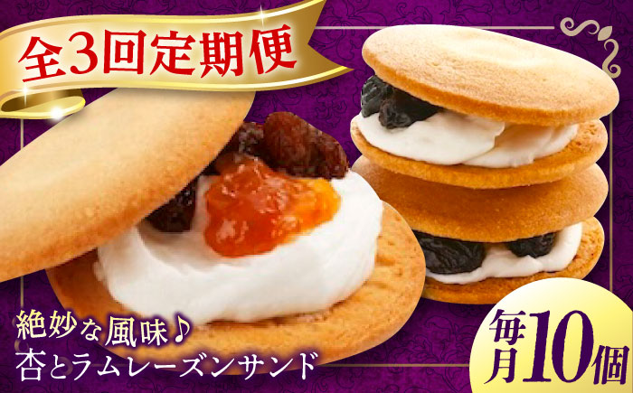 【全3回定期便】 お菓子 杏とラムレーズンサンド 10個入り　お菓子 あんず おやつ 菓子 お茶 レーズン スイーツ 広島県福山市/有限会社勉強堂 [BAFL015]