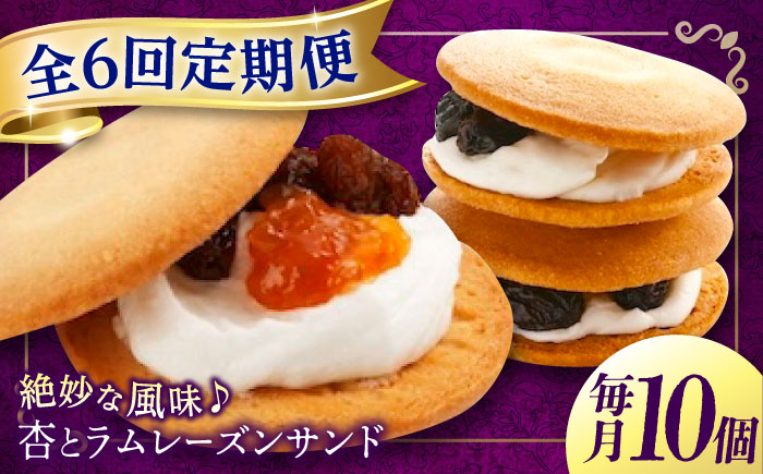 【全6回定期便】 お菓子 杏とラムレーズンサンド 10個入り　お菓子 あんず おやつ 菓子 お茶 レーズン スイーツ 広島県福山市/有限会社勉強堂 [BAFL016]