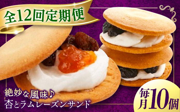 【全12回定期便】お菓子  杏とラムレーズンサンド 10個入り　お菓子 あんず おやつ 菓子 お茶 レーズン スイーツ 広島県福山市/有限会社勉強堂 [BAFL017]