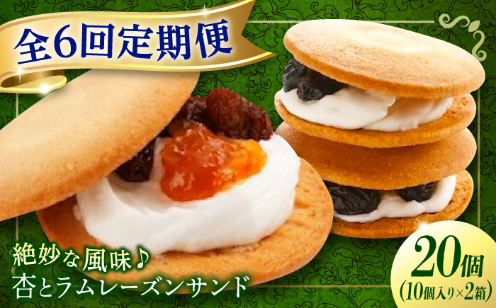 【全6回定期便】お菓子  杏とラムレーズンサンド 10個入り×2　お菓子 あんず おやつ 菓子 お茶 レーズン スイーツ 広島県福山市/有限会社勉強堂 [BAFL020]