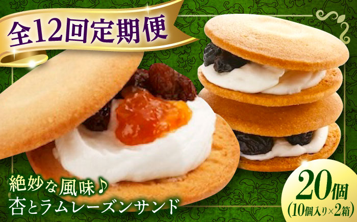 【全12回定期便】お菓子  杏とラムレーズンサンド 10個入り×2　お菓子 あんず おやつ 菓子 お茶 レーズン スイーツ 広島県福山市/有限会社勉強堂 [BAFL021]